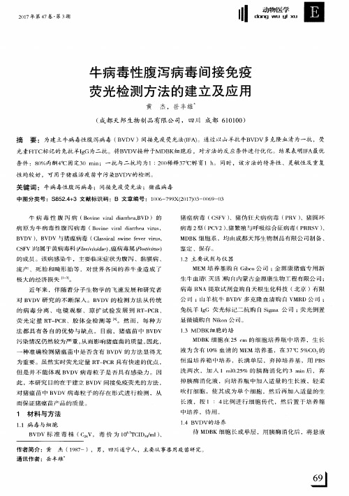 牛病毒性腹泻病毒间接免疫荧光检测方法的建立及应用