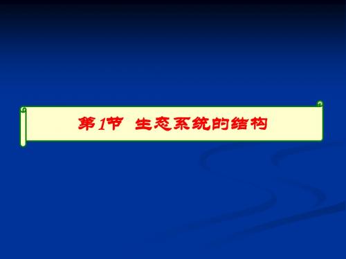 生态系统结构高三一轮复习公开课