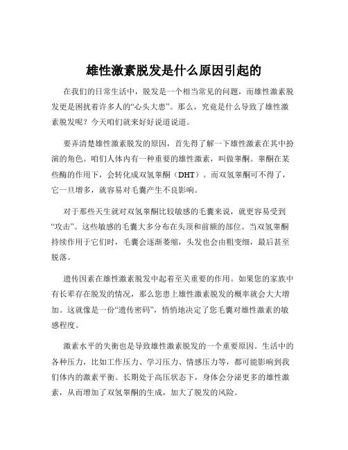 雄性激素脱发是什么原因引起的