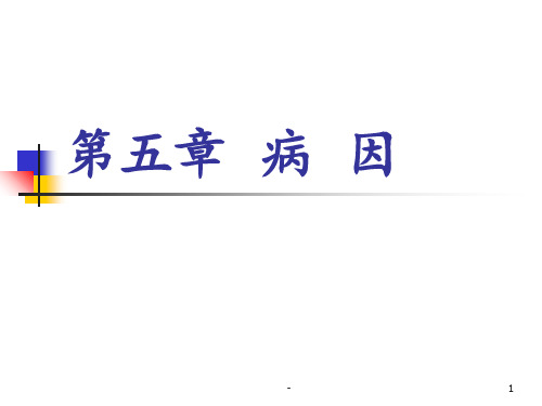 病因第一、二节PPT课件