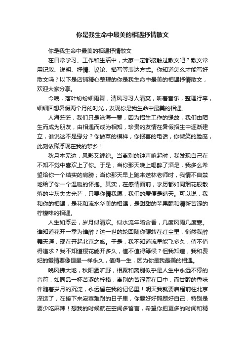 你是我生命中最美的相遇抒情散文