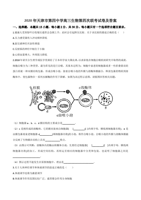 2020年天津市第四中学高三生物第四次联考试卷及答案