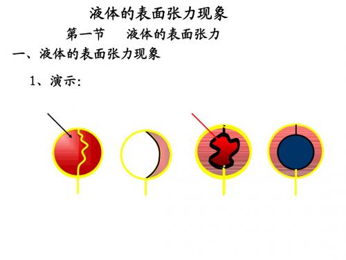 液体的表面现象 唐