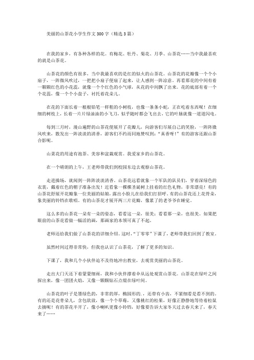 美丽的山茶花小学生作文300字(精选3篇)(最新)