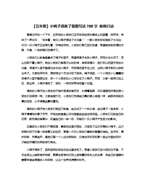 【五年级】小鸭子得救了看图写话700字 救鸭行动