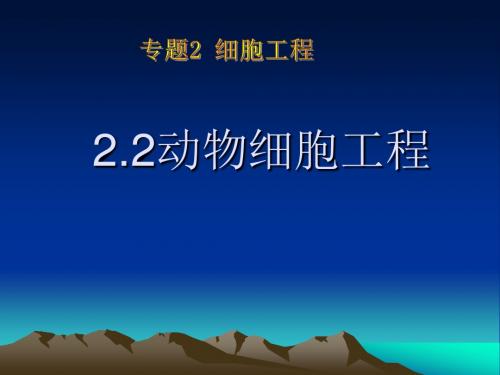 选修三 2.2动物细胞工程