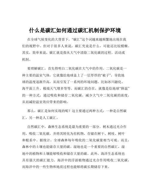 什么是碳汇如何通过碳汇机制保护环境