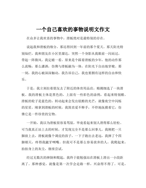 一个自己喜欢的事物说明文作文