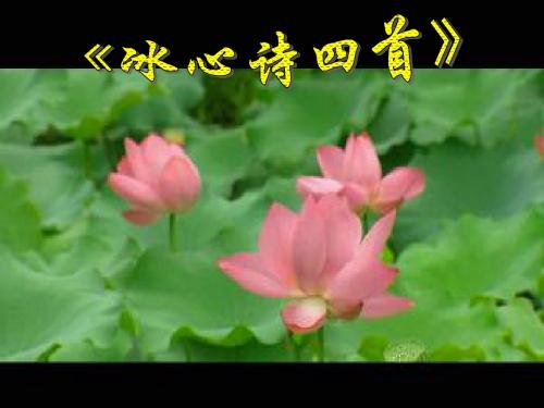 初中语文《冰心诗四首》(共22张)ppt10