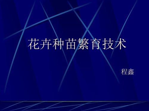 花卉种苗繁育技术