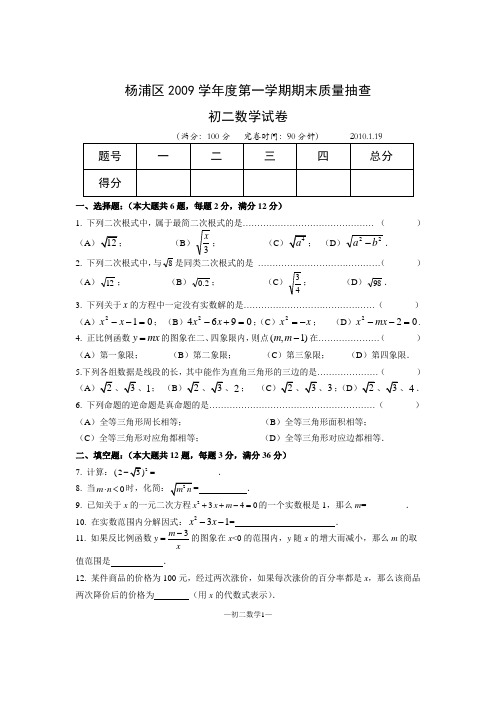 2009学年度上海市杨浦区八年级第一学期期末质量抽查(附答案)剖析