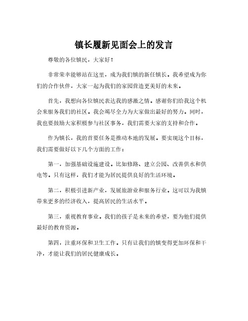 镇长履新见面会上的发言