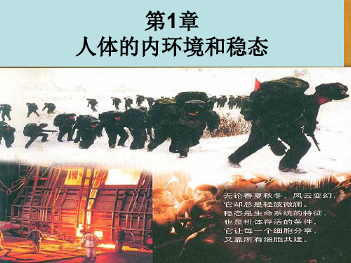 细胞生活的环境ppt课件(优质推荐)27 人教课标版
