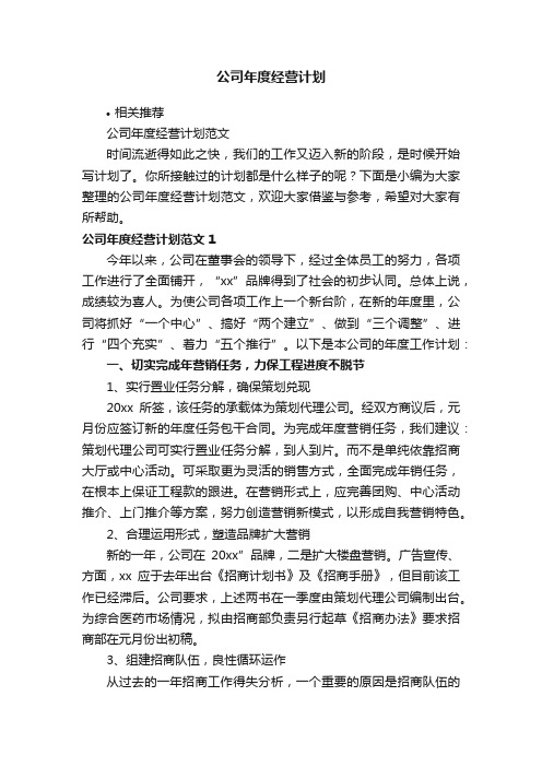 公司年度经营计划