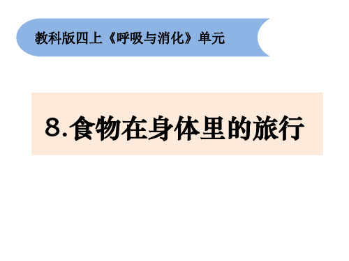 教科版四年级科学上册 (食物在身体里的旅行)新课件