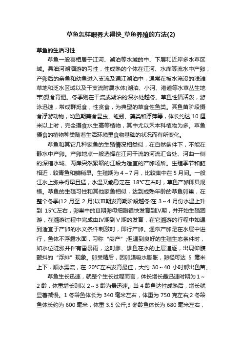 草鱼怎样喂养大得快_草鱼养殖的方法（2）