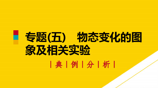 专题物态变化的图象及相关实验ppt(精选文档)