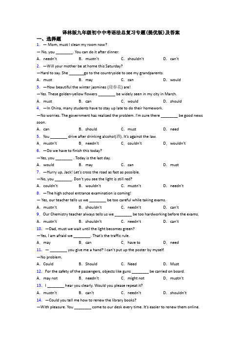 译林版九年级初中中考语法总复习专题(提优版)及答案