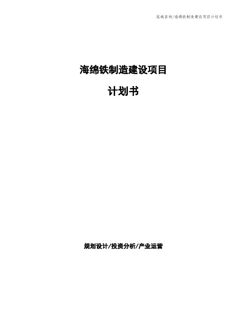 海绵铁制造建设项目计划书