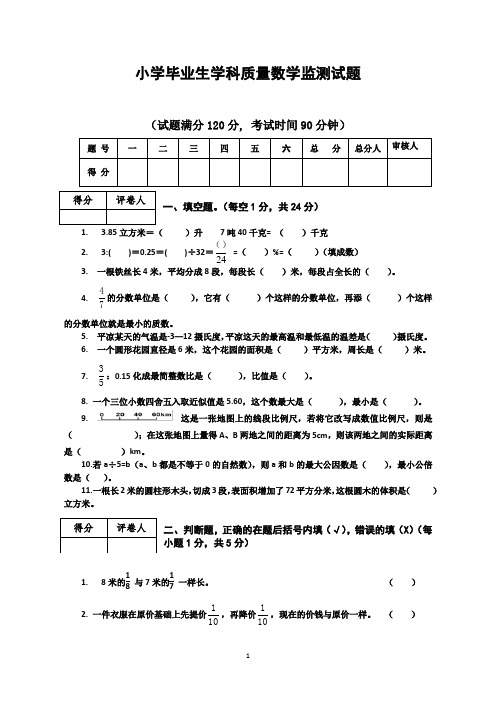 小学毕业生学科质量数学监测试题 有答案