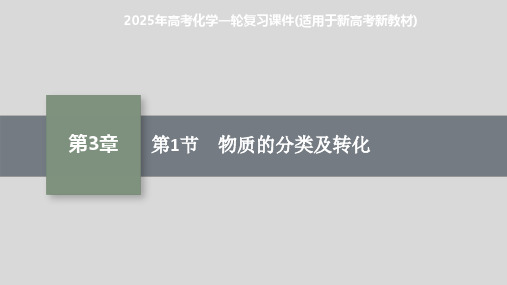 2025年高考化学一轮复习课件(适用于新高考新教材) 第1节 物质的分类及转化