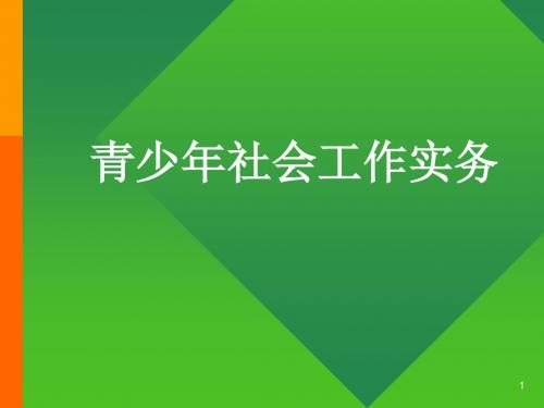 青少年社会工作实务课件