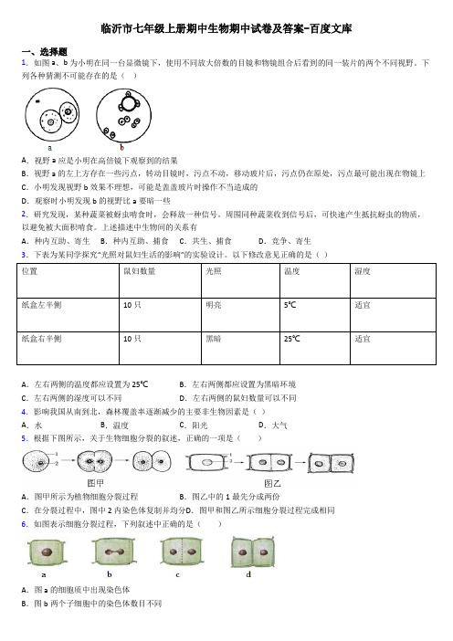 临沂市七年级上册期中生物期中试卷及答案-百度文库