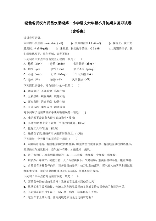 湖北省武汉市武昌水果湖第二小学语文六年级小升初期末复习试卷(含答案)