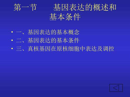 基因表达载体的构建说课材料