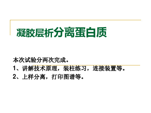 生物化学实验@层析技术分离生物大分子(凝胶过滤)