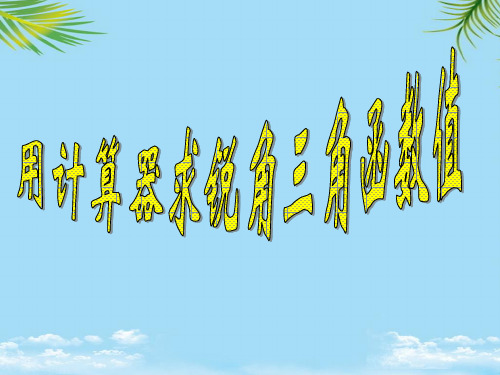 【优文档】用计算器求锐角三角函数值PPT