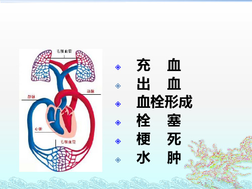 第三章局部血液循环障碍ppt课件