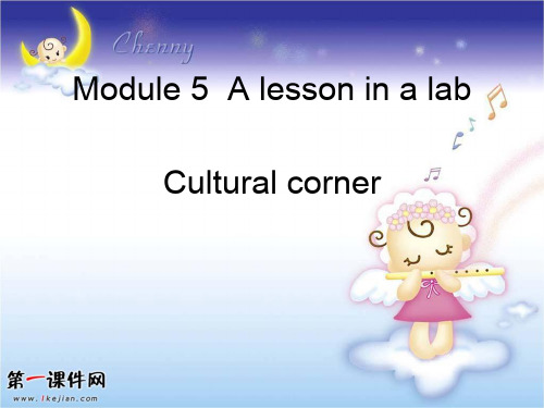 《Module 5 A Lesson in a Lab》 (外研版必修1)课件