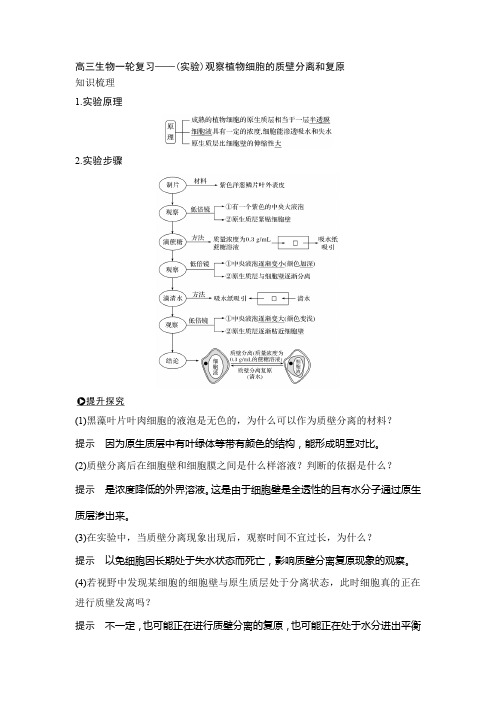 高三生物一轮复习——(实验)观察植物细胞的质壁分离和复原