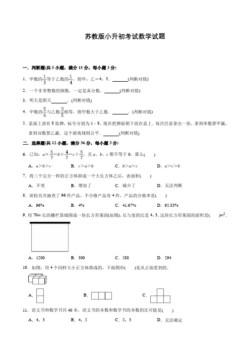 苏教版六年级数学小升初考试试卷含答案解析