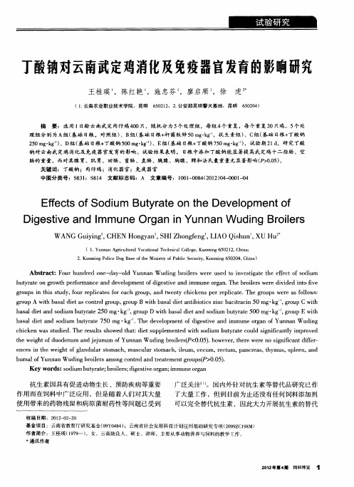 丁酸钠对云南武定鸡消化及免疫器官发育的影响研究