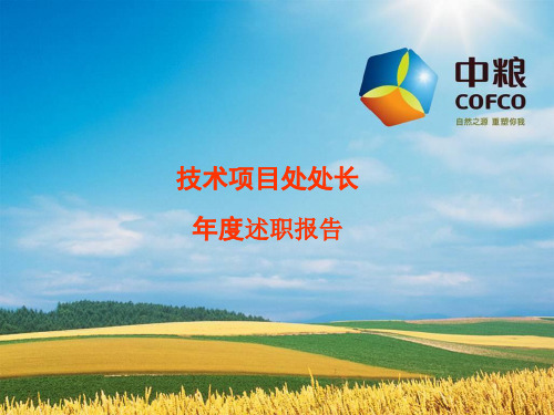 技术项目处处长年度述职报告 课件