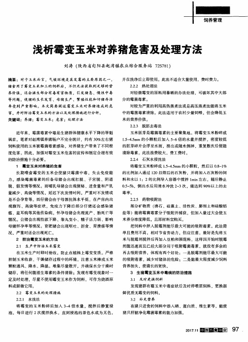 浅析霉变玉米对养猪危害及处理方法