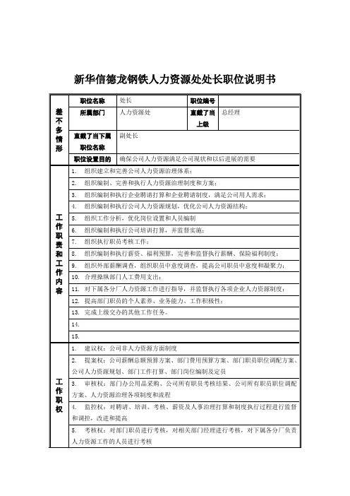 新华信德龙钢铁人力资源处处长职位说明书