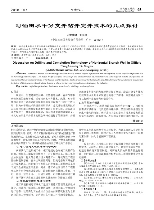 对油田水平分支井钻井完井技术的几点探讨