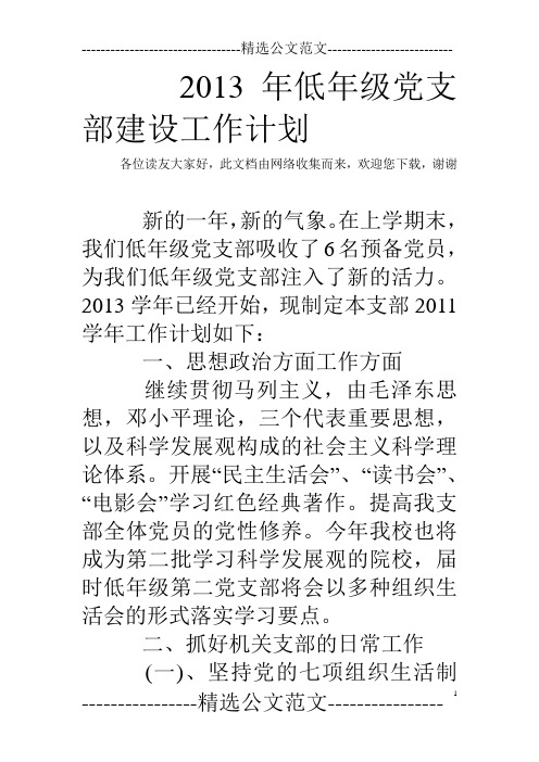 2013年低年级党支部建设工作计划