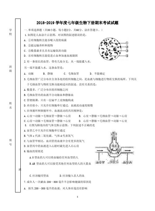 (word完整版)2018-2019七年级下册期末试卷卷