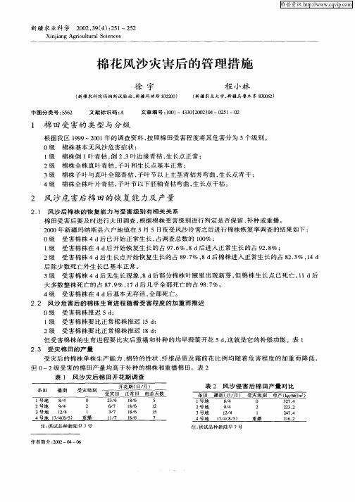 棉花风沙灾害后的管理措施