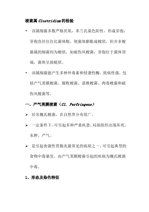 梭菌属Clostridium的检验