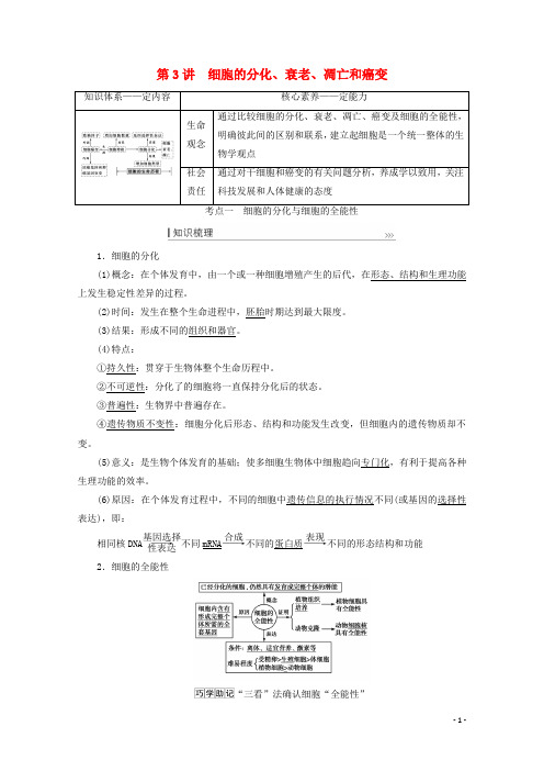 高考生物一轮复习第四单元细胞的生命历程第3讲细胞的分化衰老凋亡和癌变教案新人教版