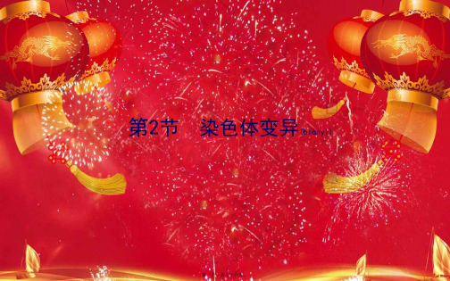 高中生物 第五章 基因突变及其他变异 2 染色体变异课件 高一生物课件