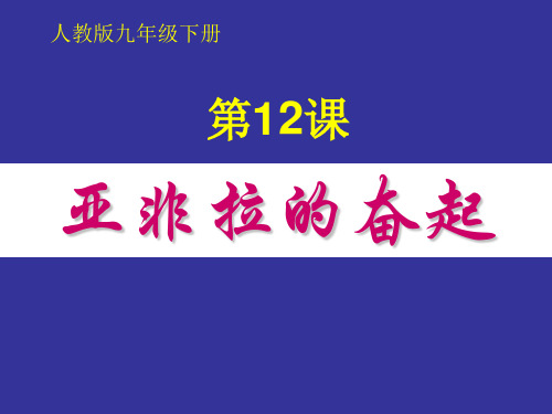 人教版九年级历史下册《六单元 亚非拉国家的独立和振兴  第12课 亚非拉的奋起》教学设计_10