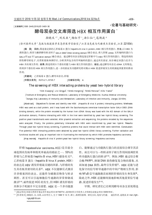 酵母双杂交文库筛选HBX相互作用蛋白