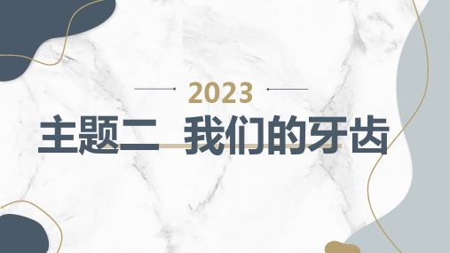 辽师大版小学四年级上册综合实践活动 主题二 我们的牙齿