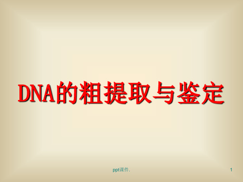 DNA的粗提取与鉴定ppt课件